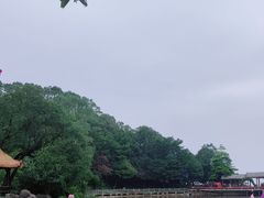 -广州市帽峰山景区