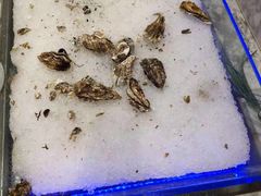 -火锅岛潮牌自助餐厅(天津天佑城店)