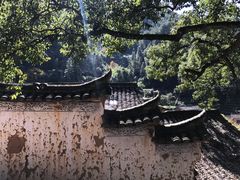-杨家堂村