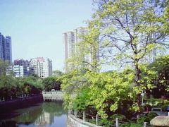 -晓港公园