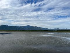 -野鸭湖国家湿地公园