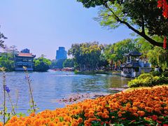 -荔湾湖公园