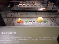 -重庆科技馆