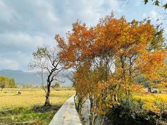 -塔川景区