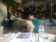 -the rug 飞毯 (朝阳公园店)