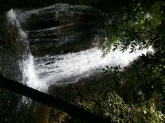 android_upload_pic-鼎湖山风景区