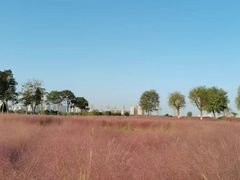 -汉长安城未央宫国家考古遗址公园