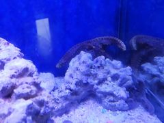 -恒大世纪梦幻城