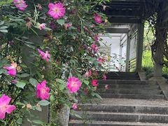 -杭州植物园