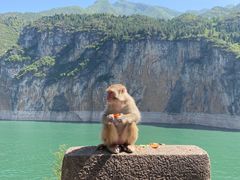 -白帝城·瞿塘峡景区