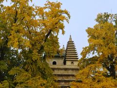 -北京石刻艺术博物馆(五塔寺)