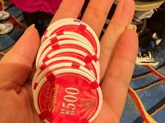 -澳门威尼斯人综合度假区