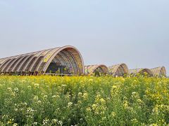 -中国天府农业博览园