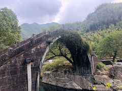 -鹿亭中村