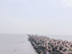 -东疆建设开发纪念公园