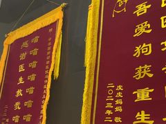 -中农国际动物医院24小时·猫科·骨科·急重症中心