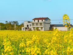 -光明小镇欢乐田园