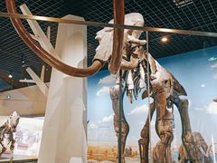 -国家自然博物馆