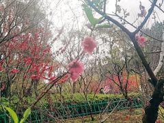 -乌山风景区