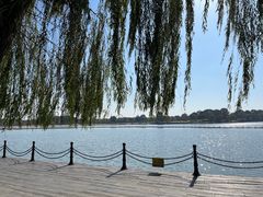 -上海月湖雕塑公园