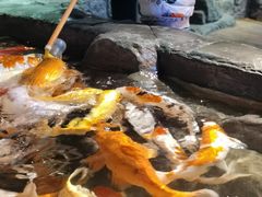 -海合安青岛极地海洋公园