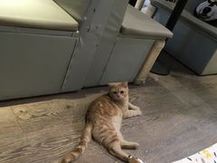 -小时光咖啡馆(开森度假森林店)