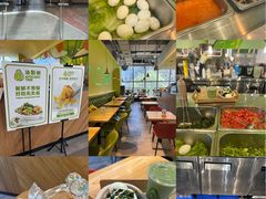 -油梨树AVOCADO TREE(望京店)