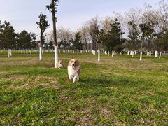 -洨河生态公园