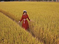 -美兰湖景区
