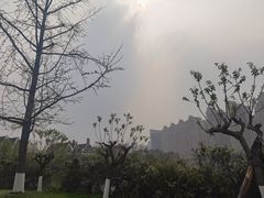 -成都南湖公园