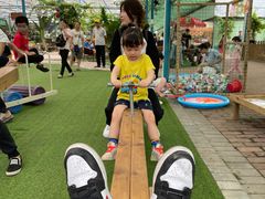 -麻涌飞鸭开心农场