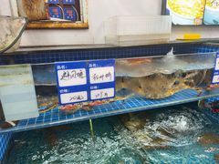 -渔满仓海鲜渔家(象山二店)