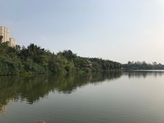 -三圣花乡旅游区