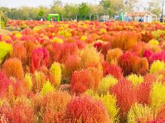 -天津东丽湖风景区