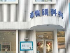 -芭比堂动物医院·犬猫全科·异宠专科(雁塔分院)