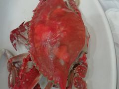 -金海湾海鲜排档(朱家尖店)
