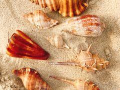 -一品格美术·中考高中成人美术培训