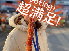 -和禄德冰糖葫芦