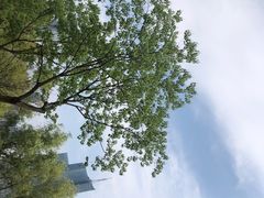 -天鹅湖体育公园