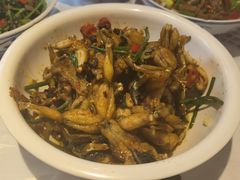 爆炒田鸡-壹盏灯(惠农店)