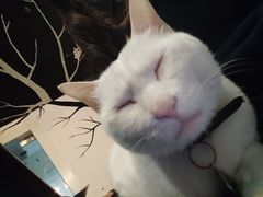 -Doors独立剧情密室(东门分店)