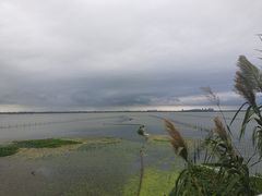 -莲花岛景区