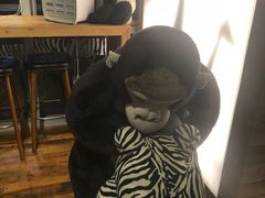 -ZOO COFFEE 动物园咖啡(亦庄店)