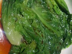 -九毛九西北菜(大东海店)