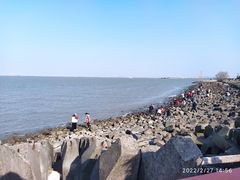 -上海滨江森林公园