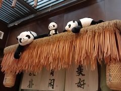 -茶去咖啡屋(武侯祠店)