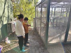 -北京鹿世界主题园