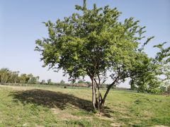 -汉长安城未央宫国家考古遗址公园