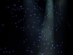 -东莞银行篮球中心