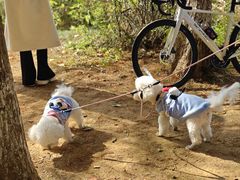 -白鹭湾湿地公园